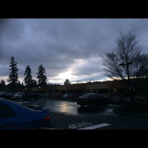 Meet your Posher, Bella